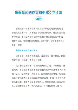 暑假见闻的作文初中800字5篇2020.doc