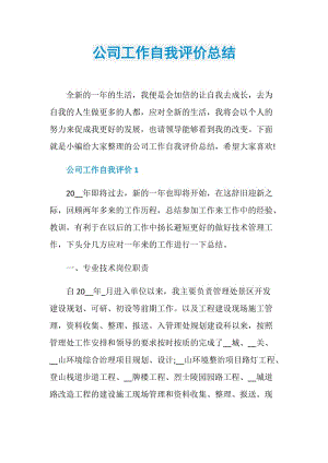 公司工作自我评价总结.doc