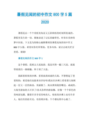 暑假见闻的初中作文800字5篇2020.doc