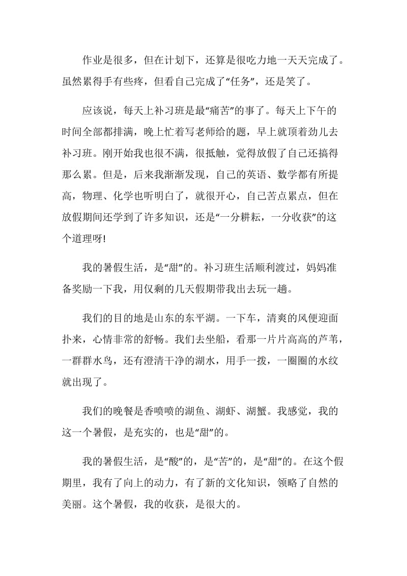 快乐暑假的作文700字5篇.doc_第2页