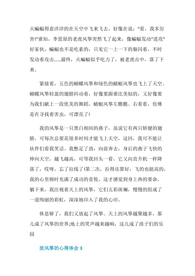 关于放风筝的总结600字.doc_第3页