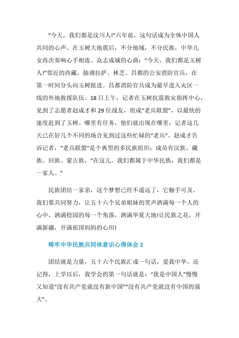 铸牢中华民族共同体意识心得体会五篇.doc_第2页