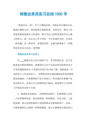 销售业务员实习总结1000字.doc