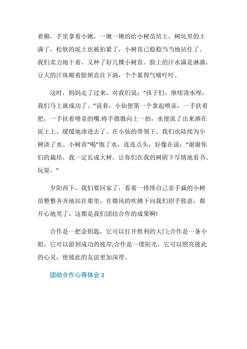 团结合作心得感悟700字.doc_第2页