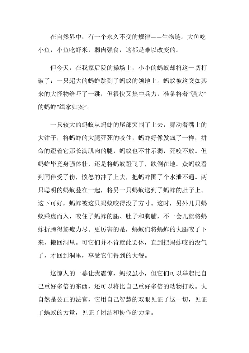 团结合作心得总结700字.doc_第3页