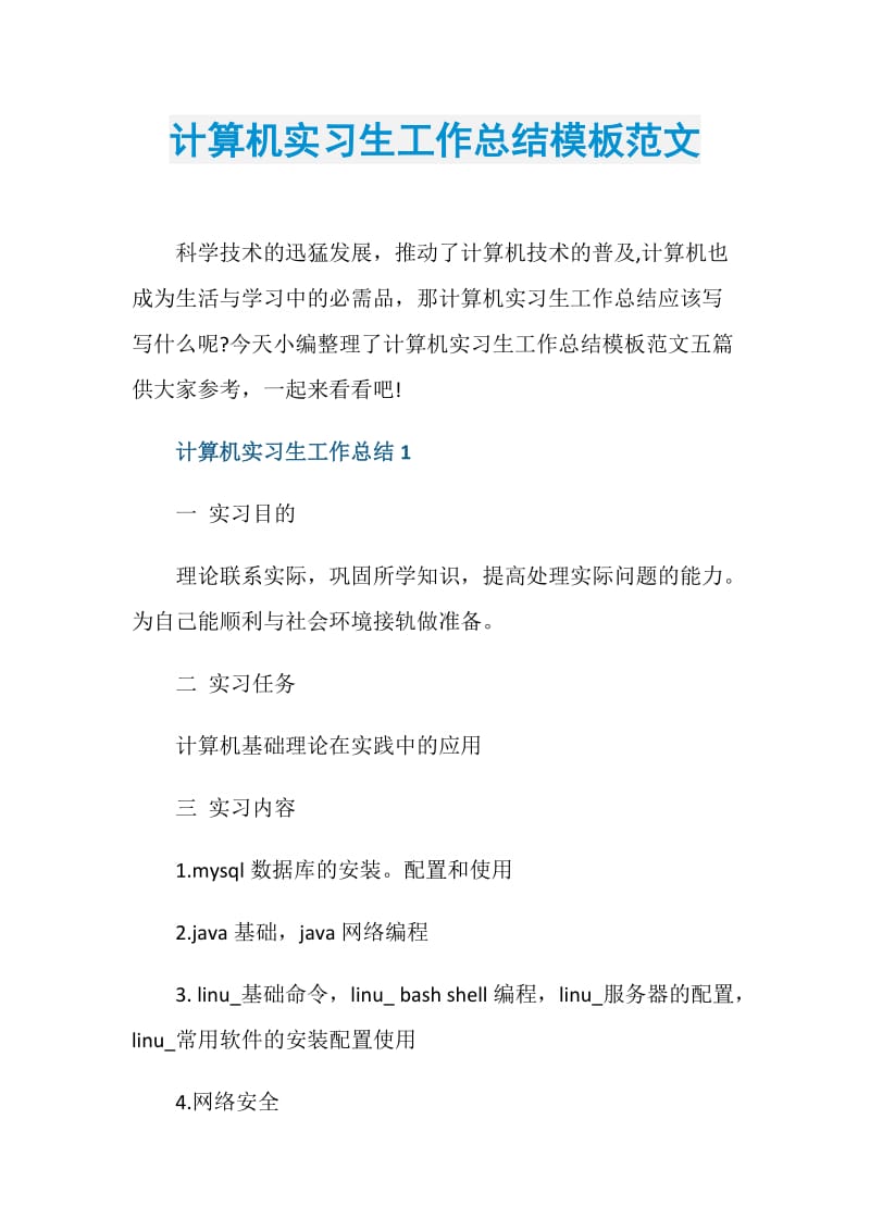 计算机实习生工作总结模板范文.doc_第1页