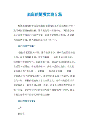 表白的情书文案5篇.doc