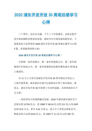 2020浦东开发开放30周观后感学习心得.doc