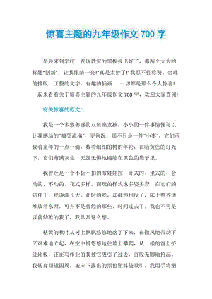 惊喜主题的九年级作文700字.doc