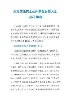 河北交通安全公开课观后感大全2020精选.doc