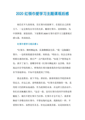 2020红领巾爱学习主题课观后感.doc