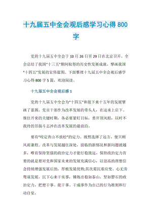 十九届五中全会观后感学习心得800字.doc