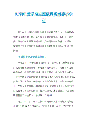 红领巾爱学习主题队课观后感小学生.doc