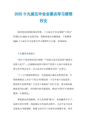 2020十九届五中全会要点学习感悟作文.doc