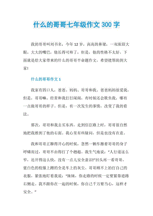 什么的哥哥七年级作文300字.doc