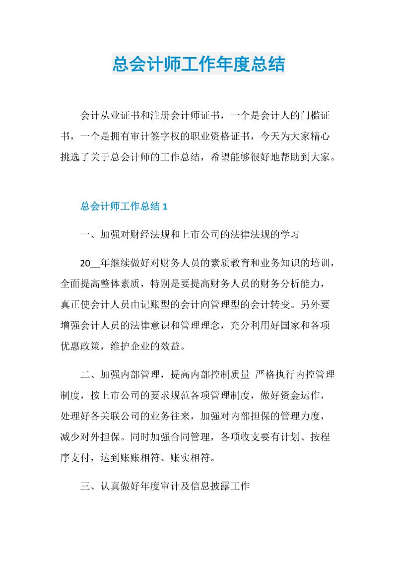 总会计师工作年度总结.doc_第1页