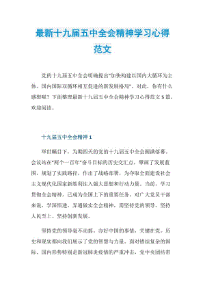 最新十九届五中全会精神学习心得范文.doc