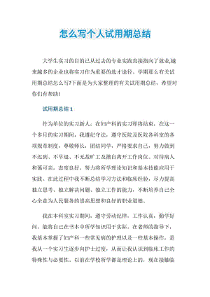 怎么写个人试用期总结.doc