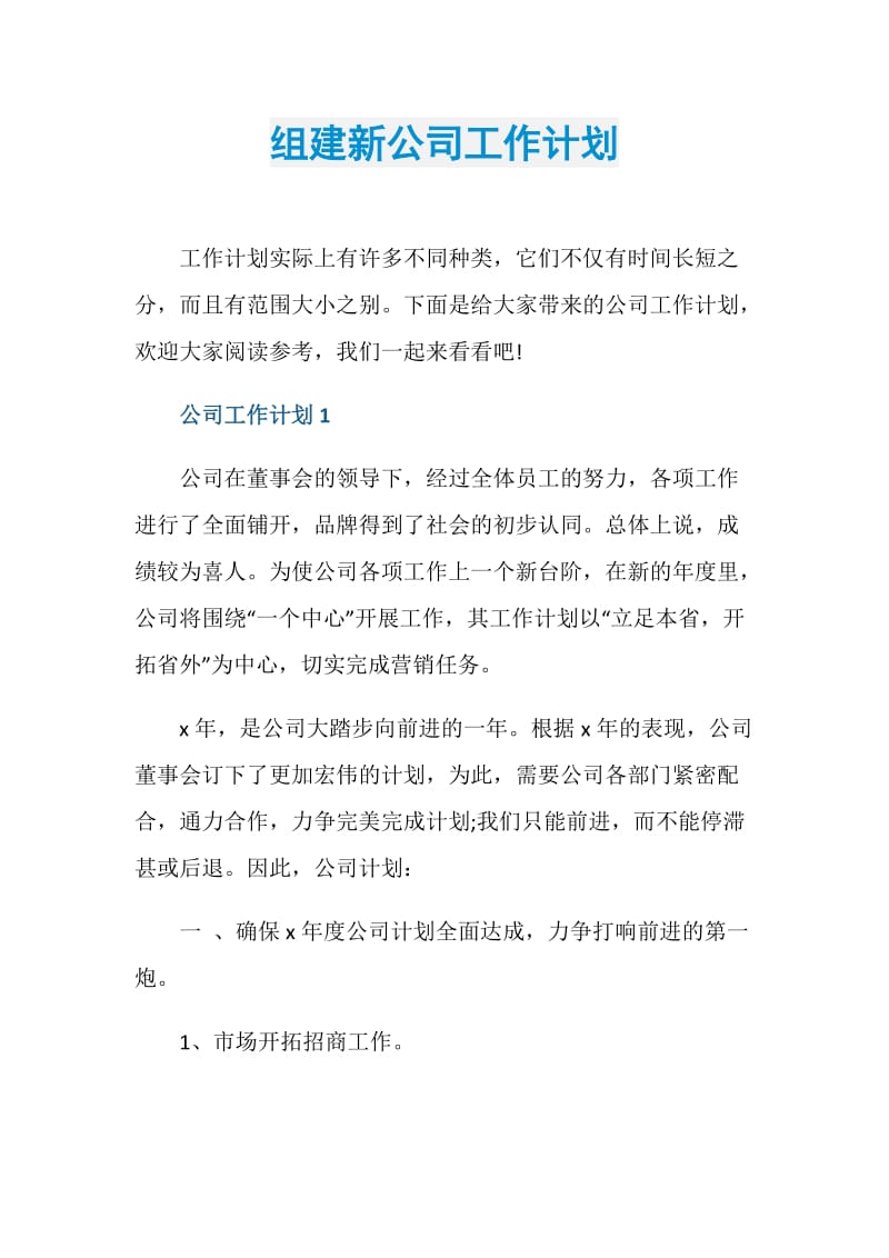 组建新公司工作计划.doc_第1页