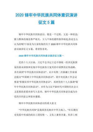 2020铸牢中华民族共同体意识演讲征文5篇.doc