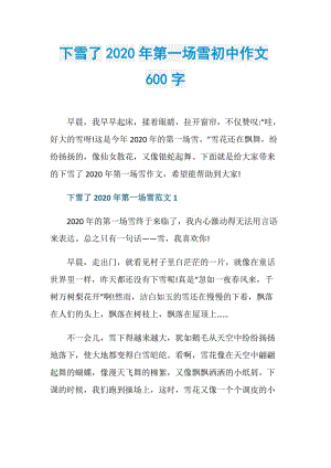 下雪了2020年第一场雪初中作文600字.doc