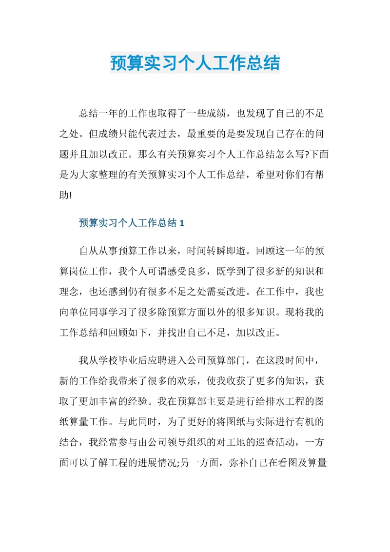 预算实习个人工作总结.doc_第1页