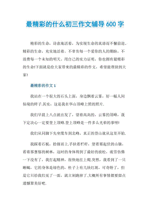 最精彩的什么初三作文辅导600字.doc