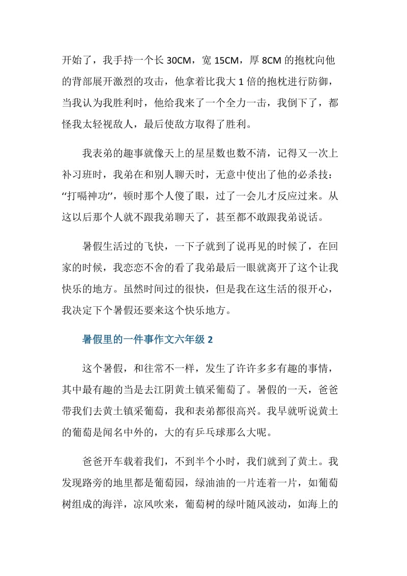 暑假里的一件事作文六年级.doc_第2页