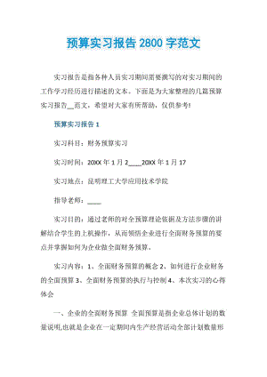 预算实习报告2800字范文.doc