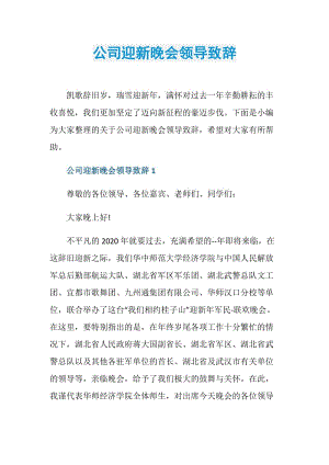 公司迎新晚会领导致辞.doc