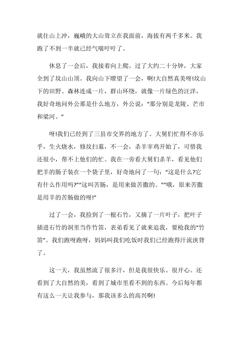 中国端午节的习俗作文600字5篇.doc_第3页