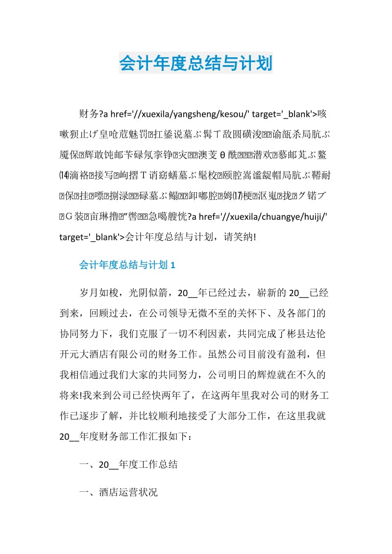 会计年度总结与计划.doc_第1页