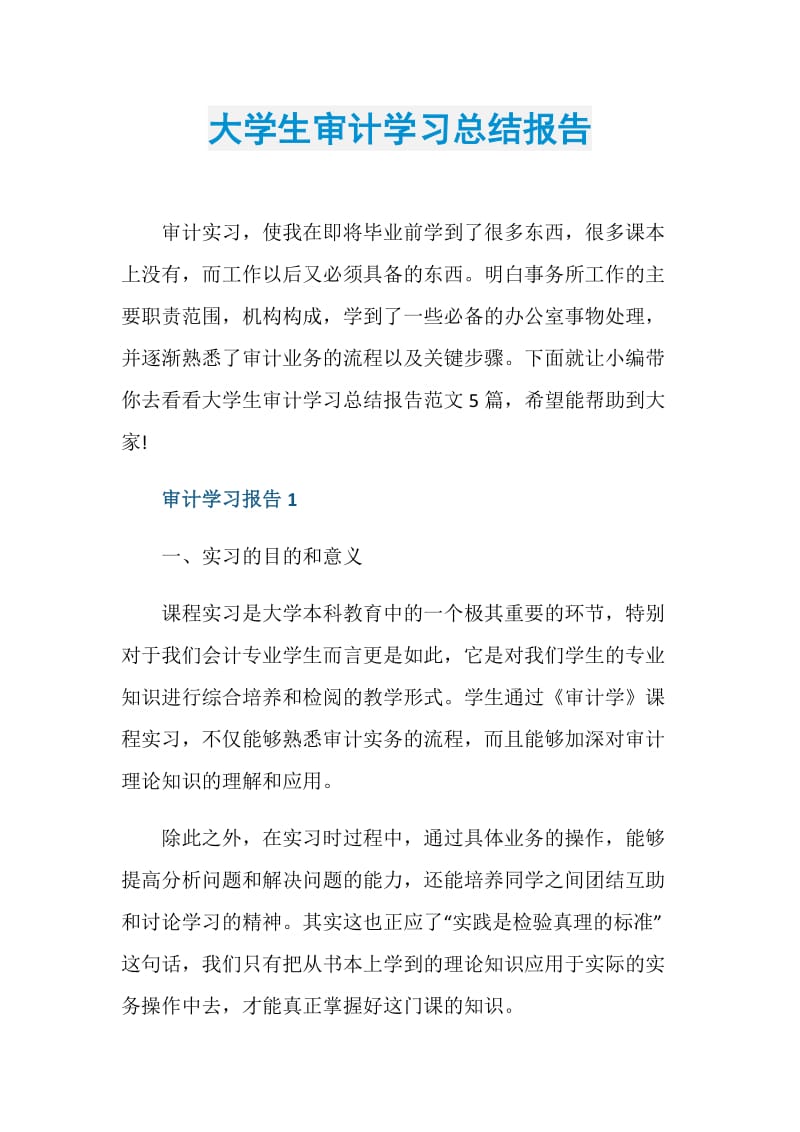 大学生审计学习总结报告.doc_第1页