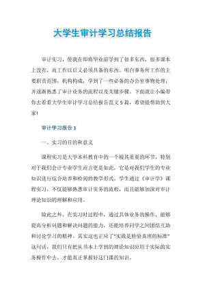 大学生审计学习总结报告.doc