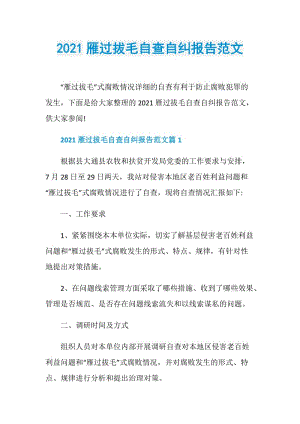 2021雁过拔毛自查自纠报告范文.doc