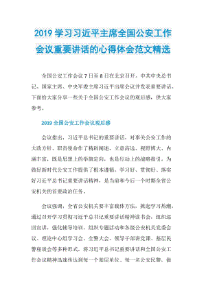 2019学习习近平主席全国公安工作会议重要讲话的心得体会范文精选.doc