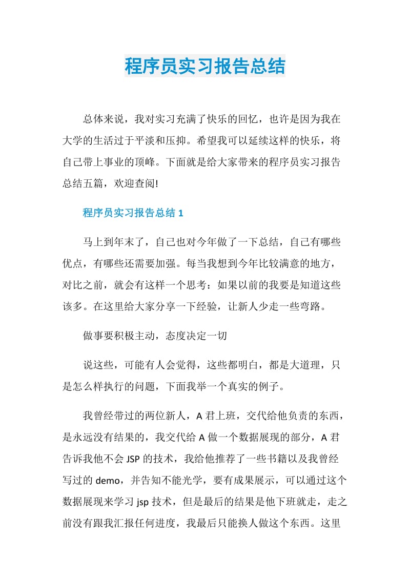 程序员实习报告总结.doc_第1页