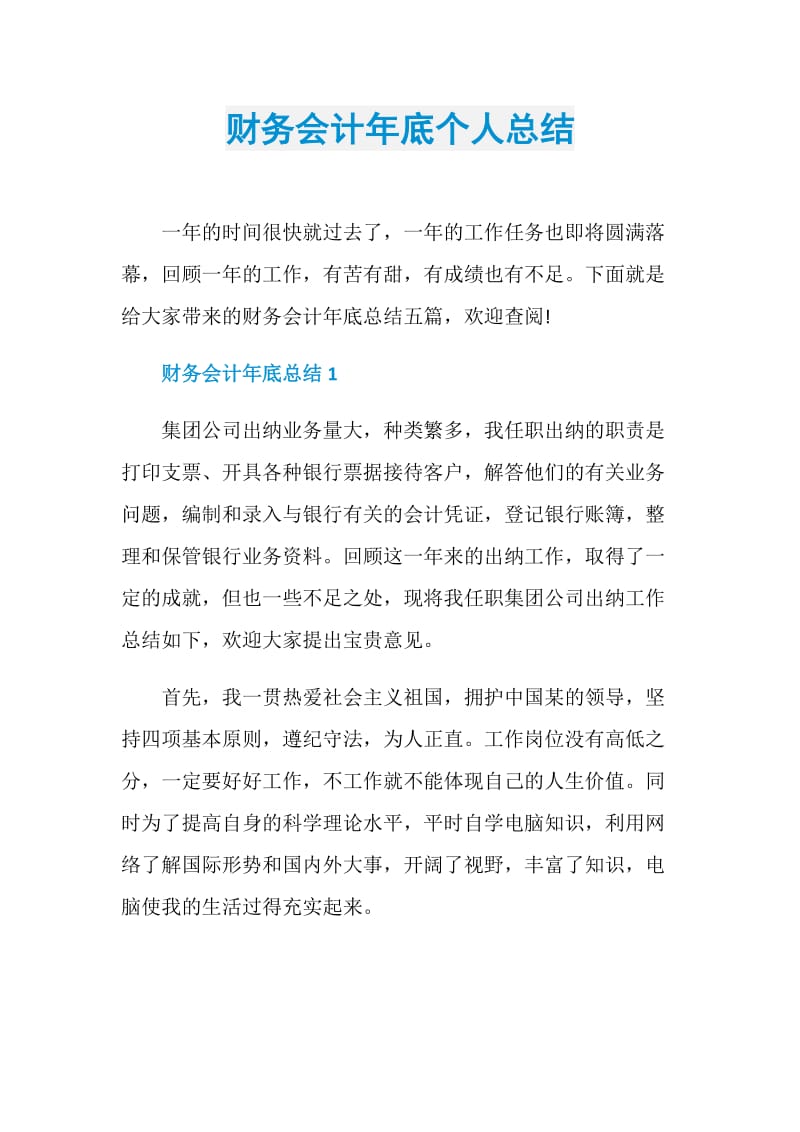 财务会计年底个人总结.doc_第1页