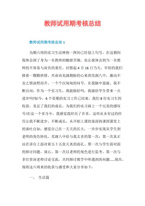 教师试用期考核总结.doc