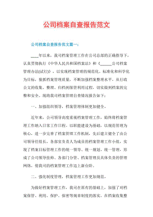 公司档案自查报告范文.doc