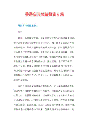 导游实习总结报告6篇.doc