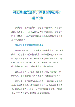 河北交通安全公开课观后感心得5篇2020.doc