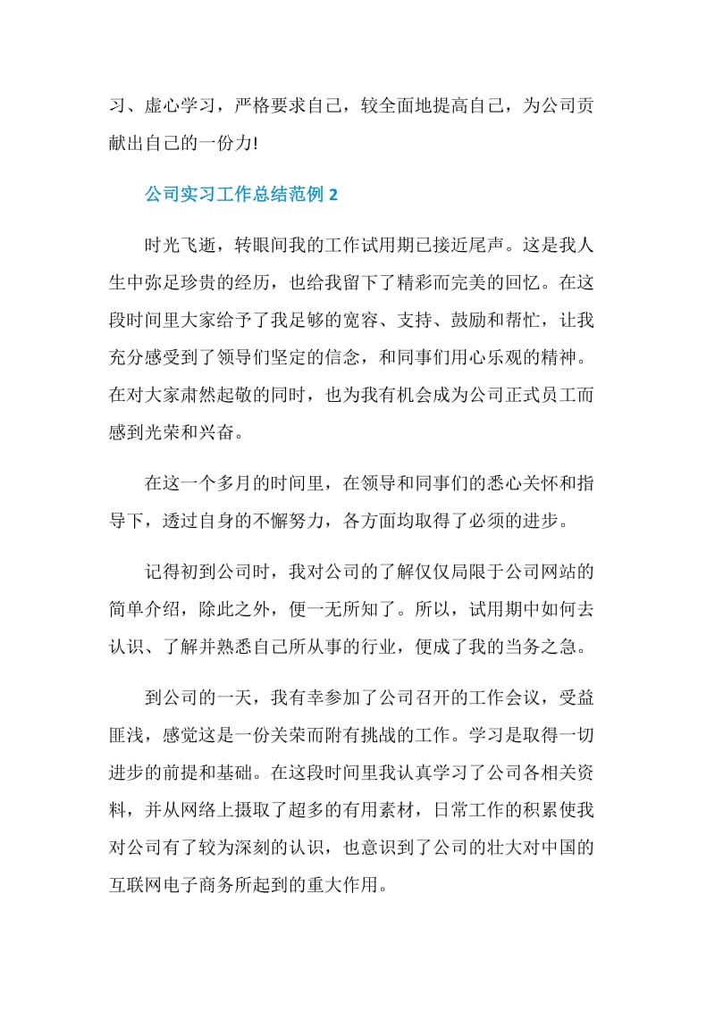 公司实习工作总结范例经典.doc_第2页