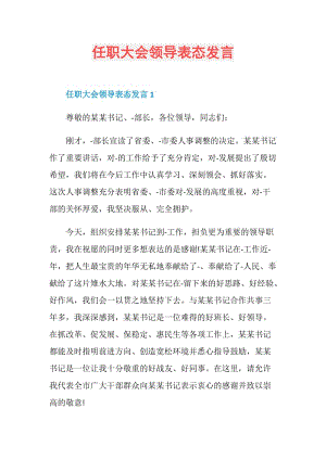 任职大会领导表态发言.doc