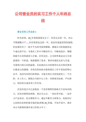 公司营业员的实习工作个人年终总结.doc