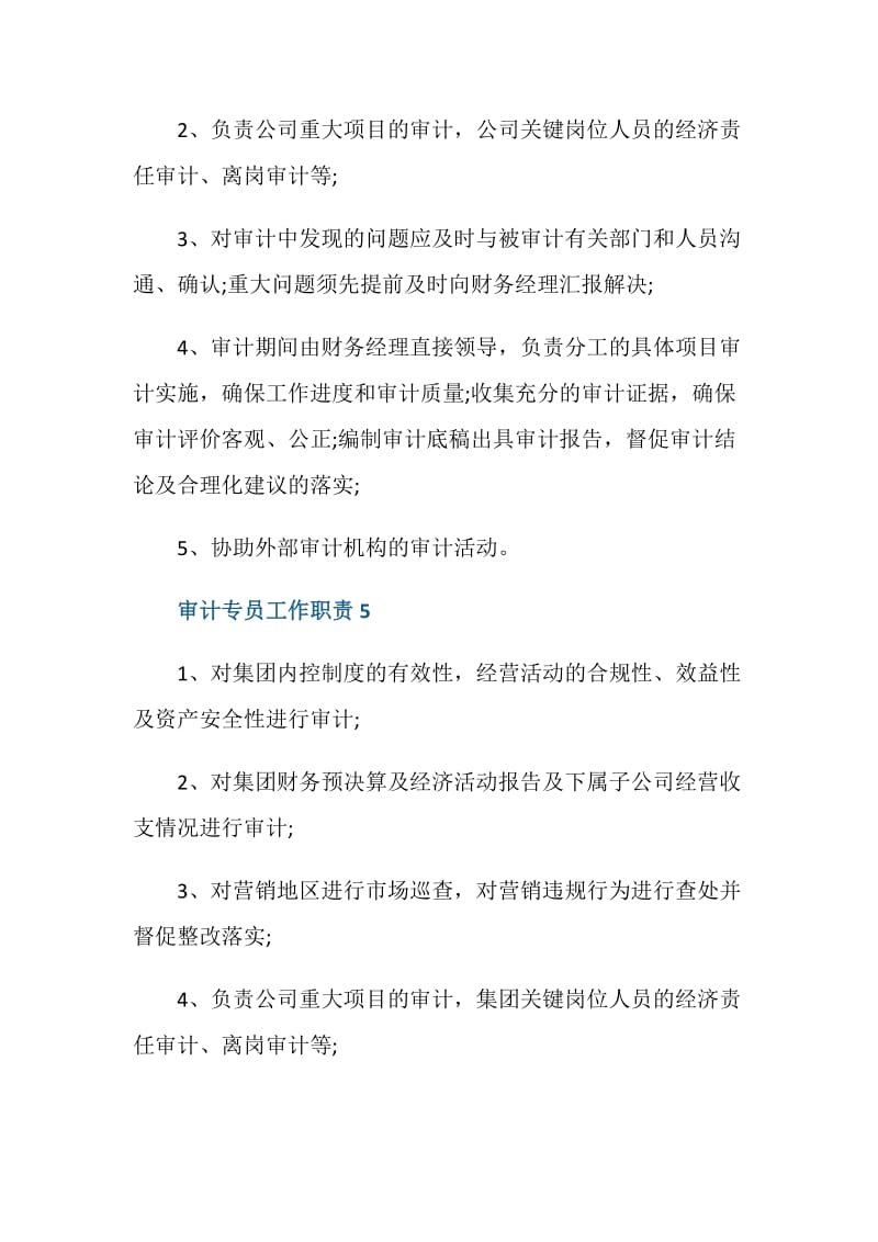 审计专员工作职责.doc_第3页