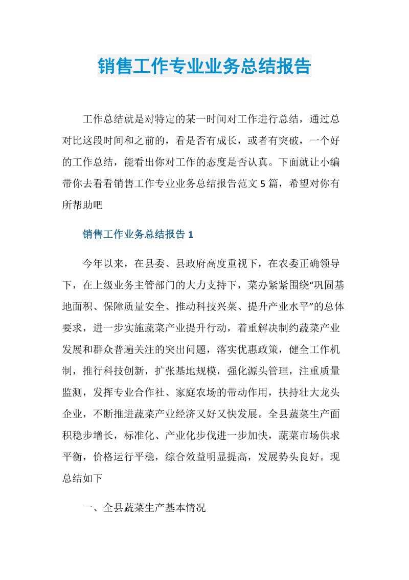 销售工作专业业务总结报告.doc_第1页