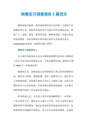 销售实习调查报告5篇范文.doc