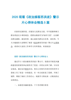 2020观看《政治掮客苏洪波》警示片心得体会精选5篇.doc