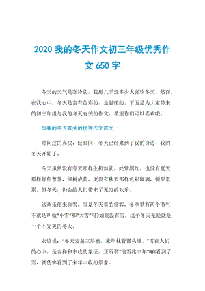 2020我的冬天作文初三年级优秀作文650字.doc